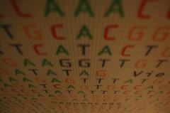 Different colored DNA letters descending down a wall