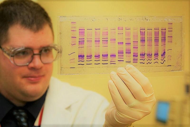 A man in a lab coat and gloves examines a purple DNA profile.