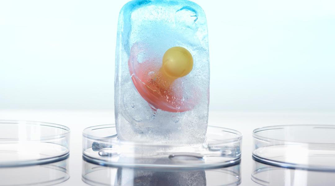 pacifier frozen in a block of ice