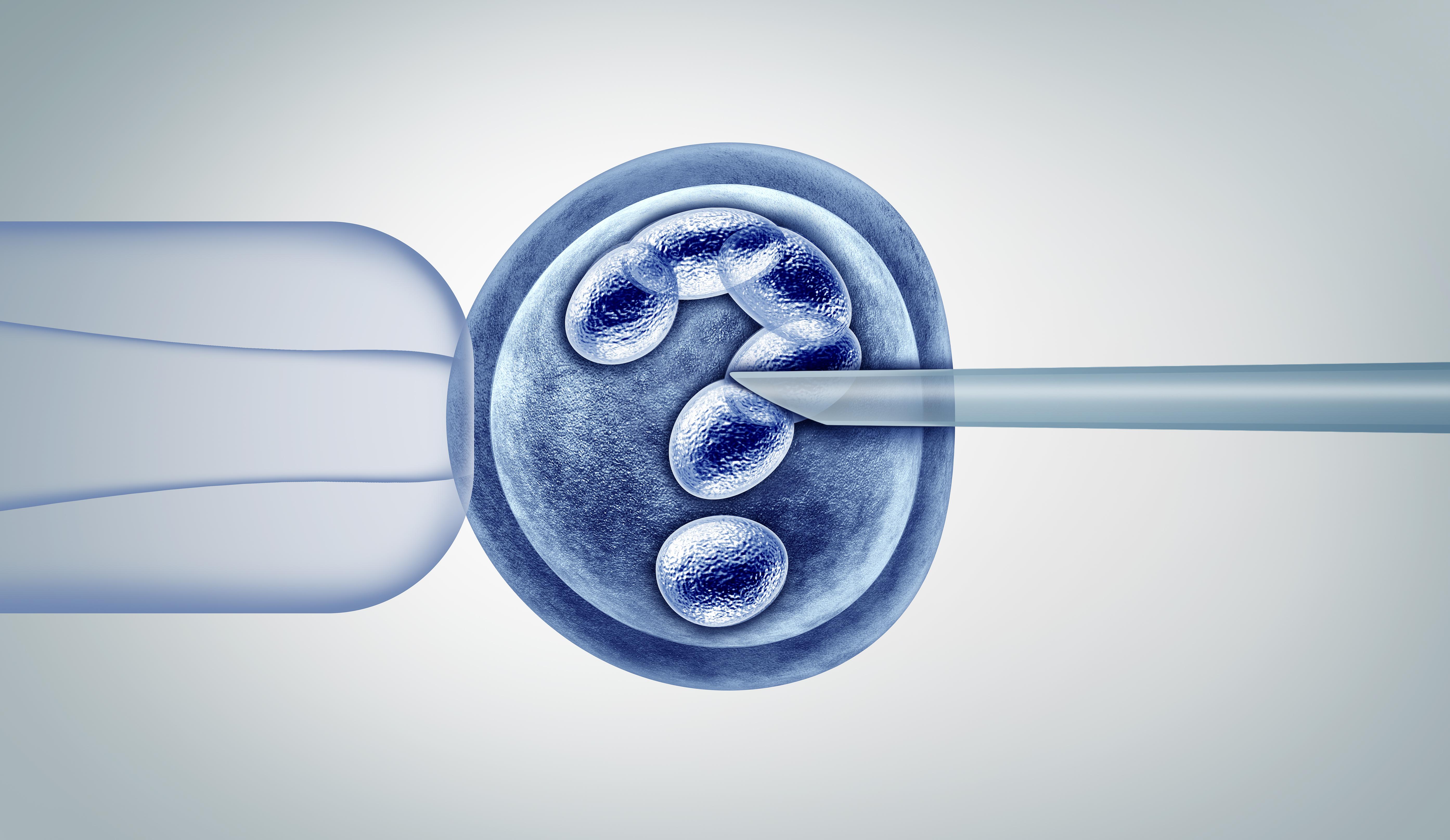 IVF with the cells in the embryo in the shape of a question mark