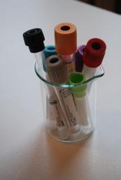 A lab beaker is filled with empty, sealed test tubes.