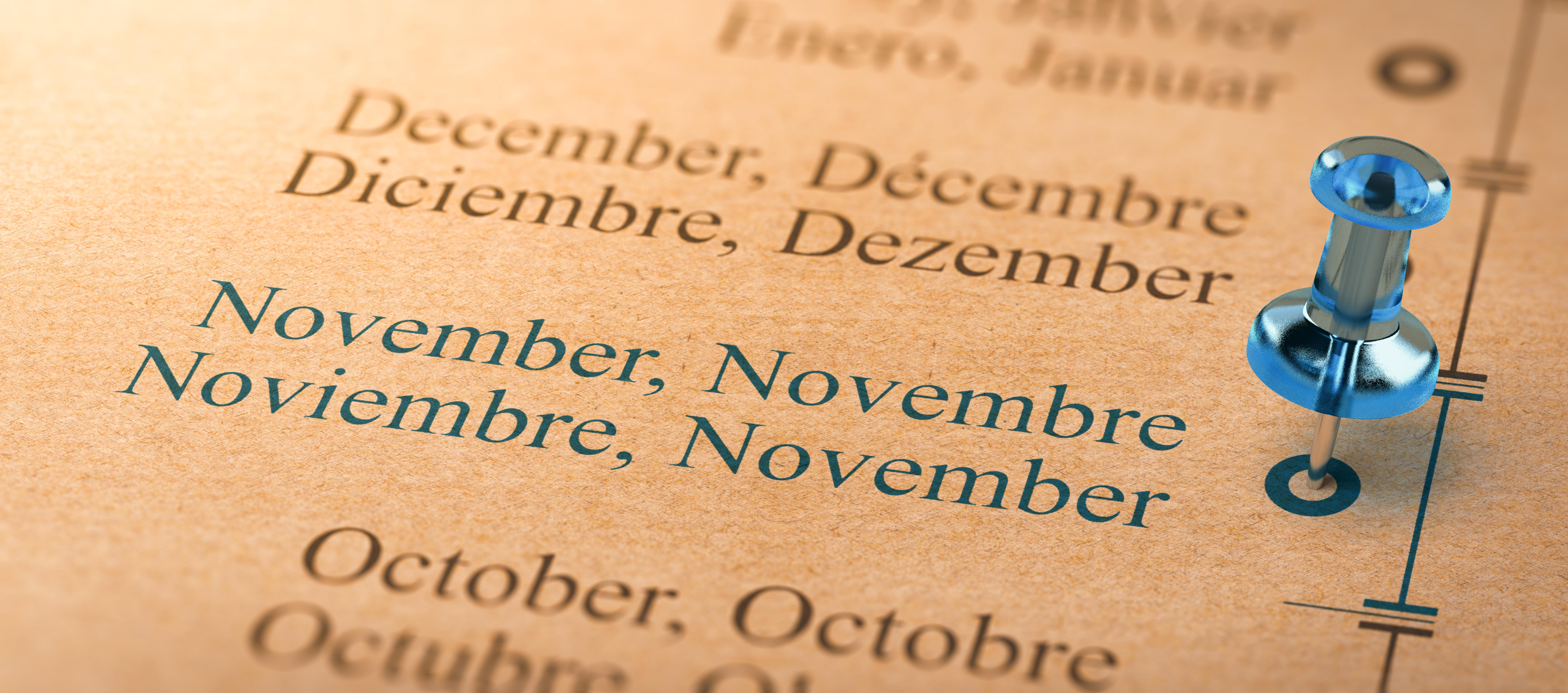 Blue push pin marking the month of November on a timeline