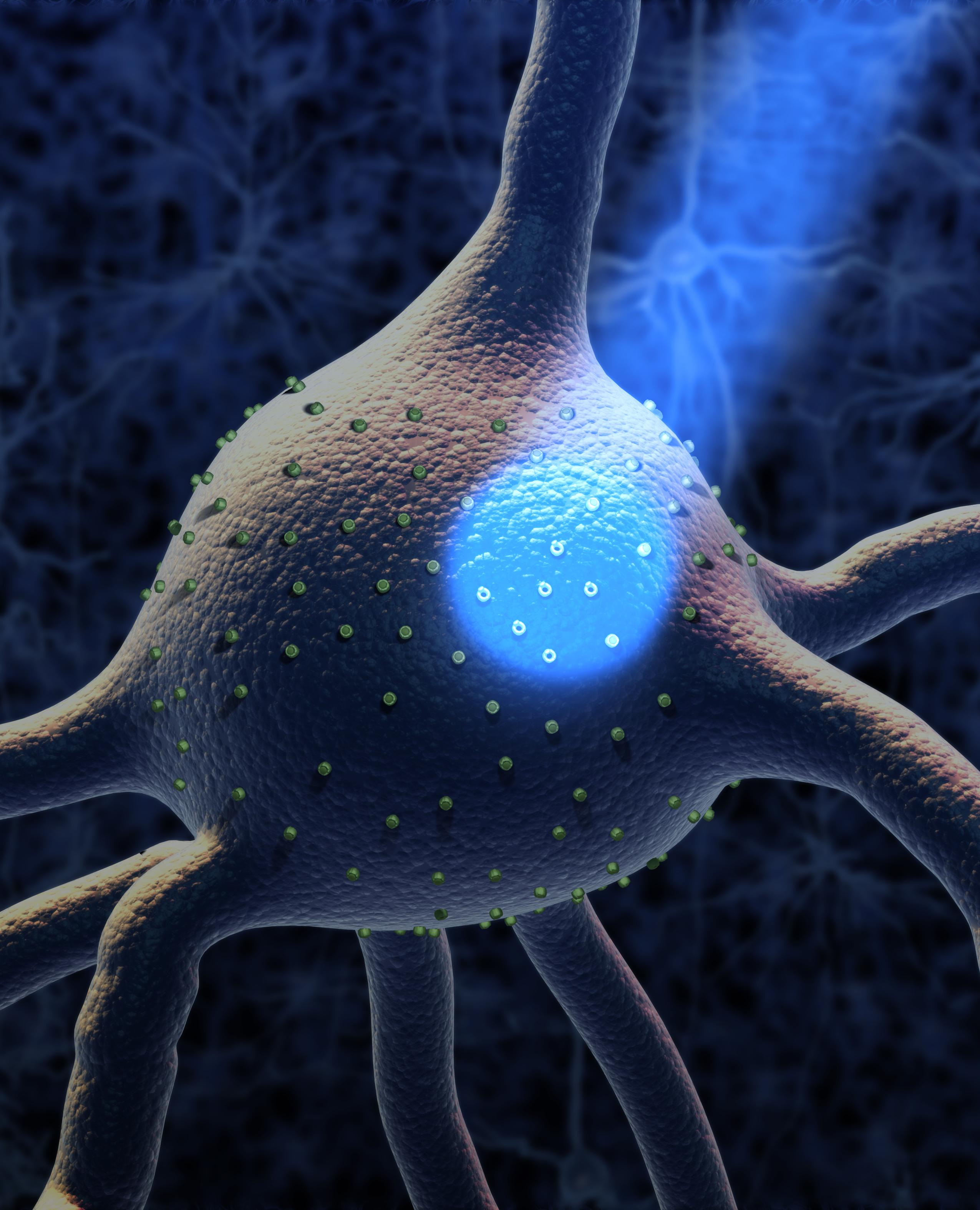 light shining on neuron