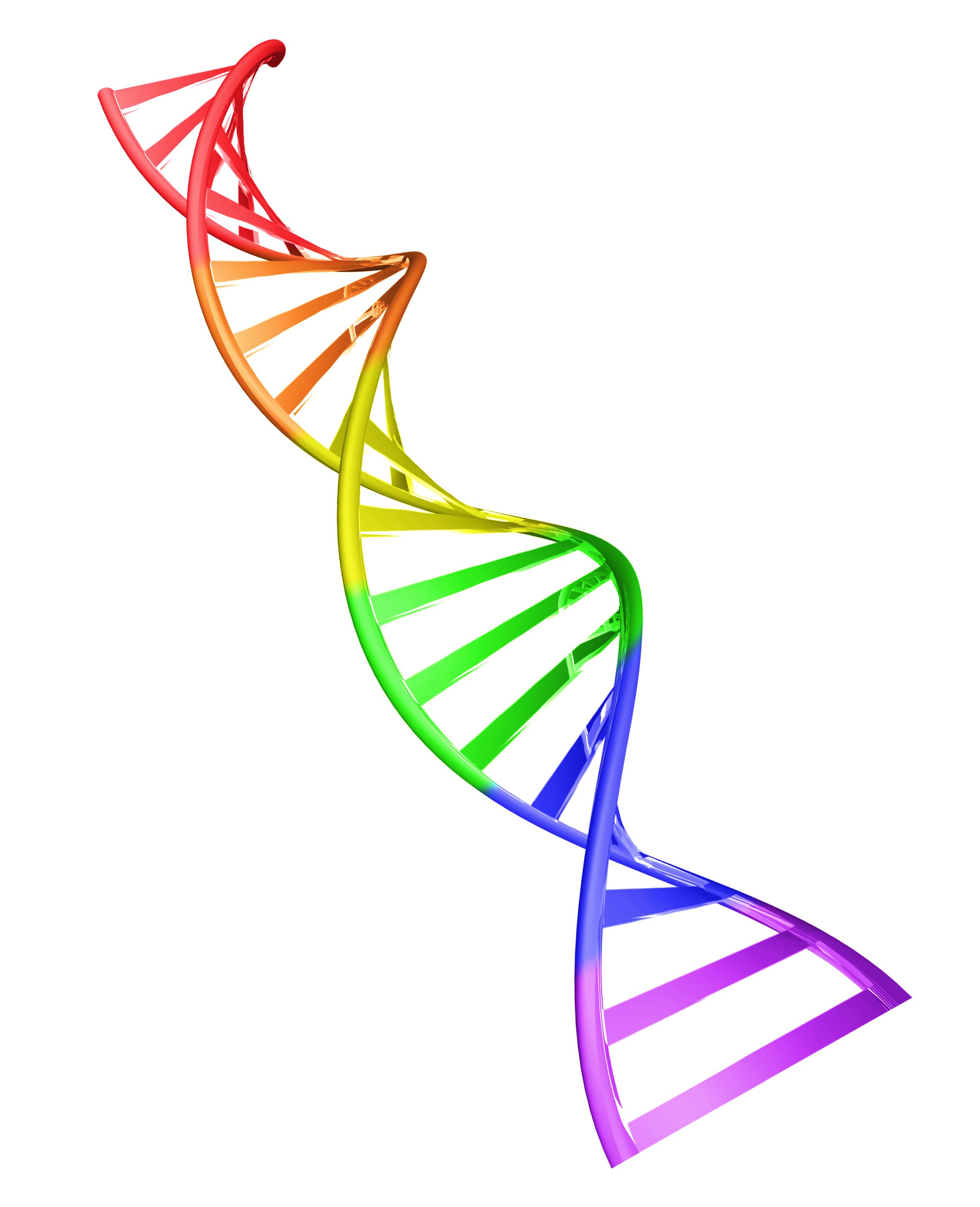 rainbow dna helix