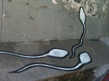 Street art of three 'swimming' sperm cells climbing from the floor to a wall.
