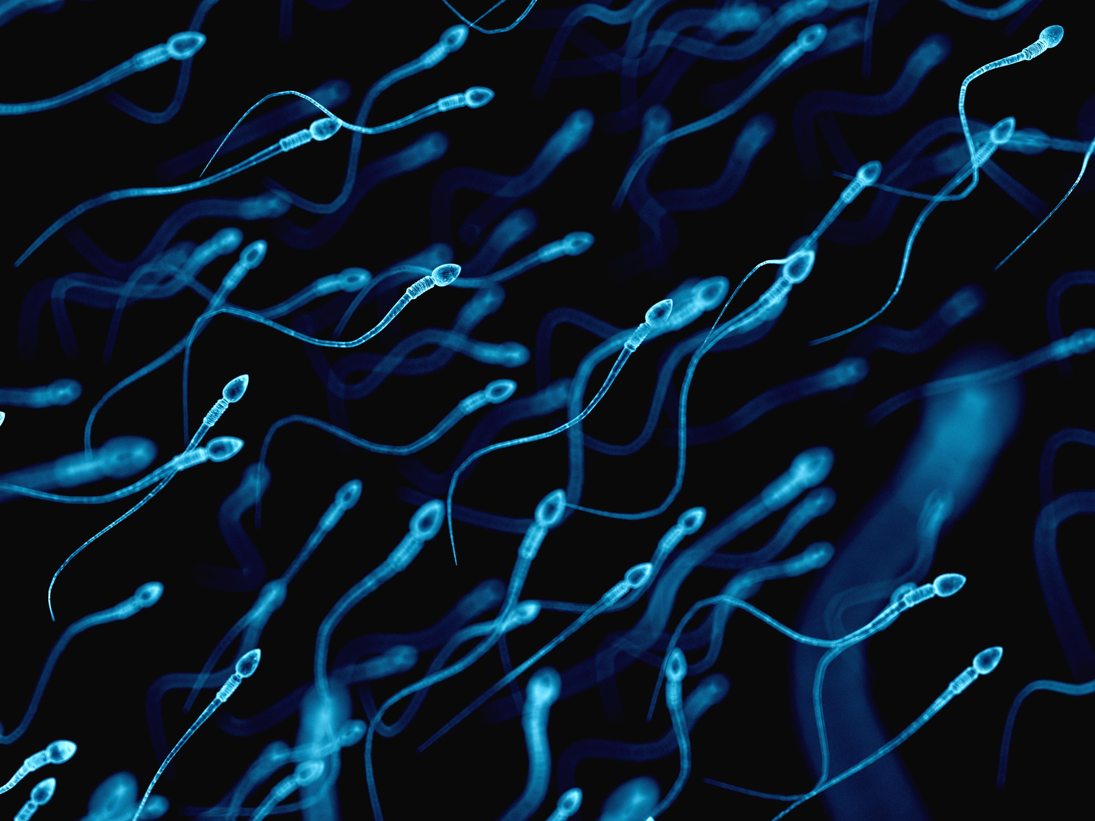 sperm colored blue swimming across a black background