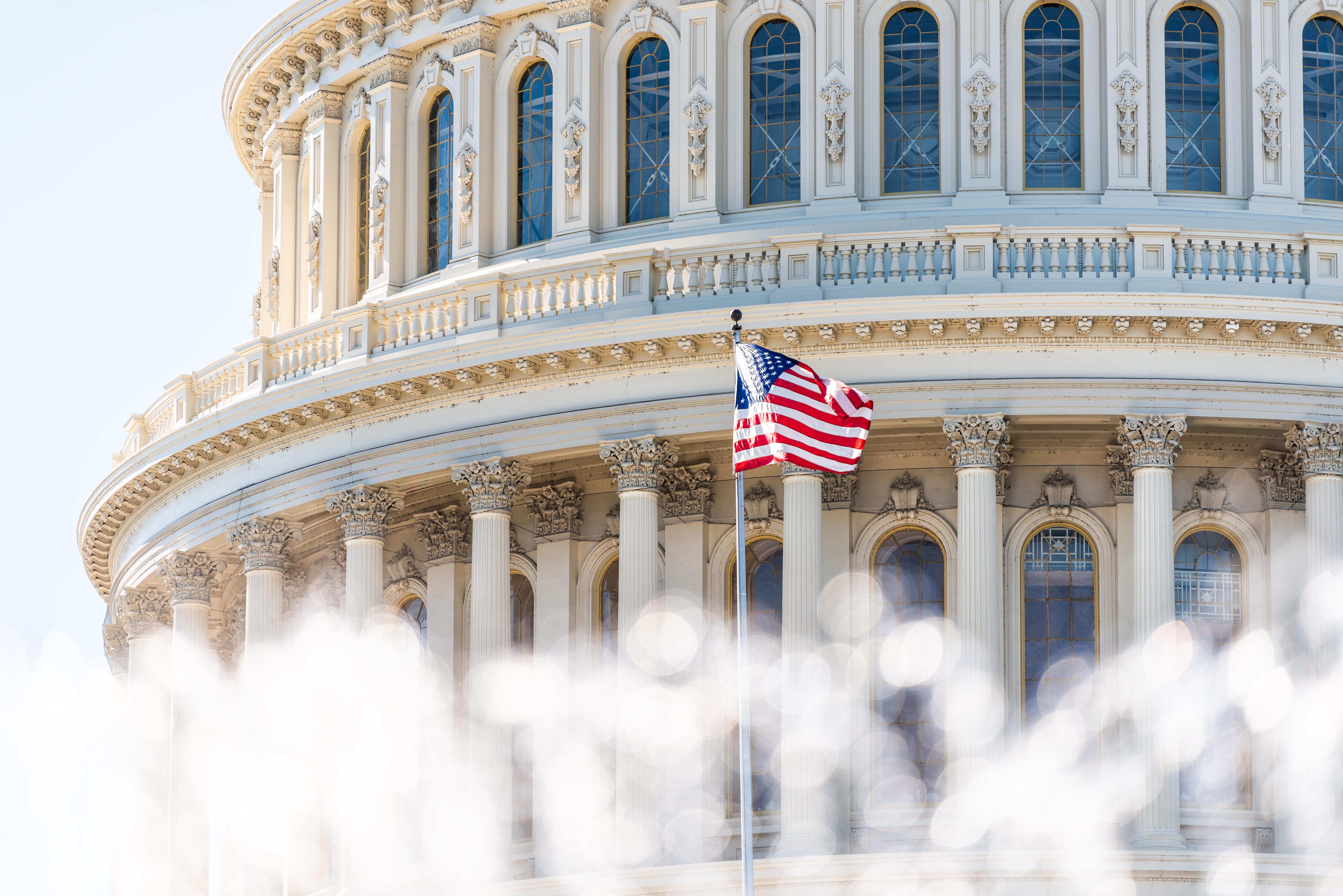 Close-up image of the U.S. Congress