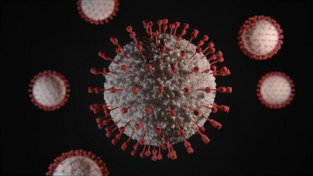 An image of the coronavirus