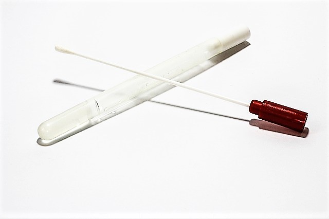 Image of a white cotton swab and clear test tube against a white background.