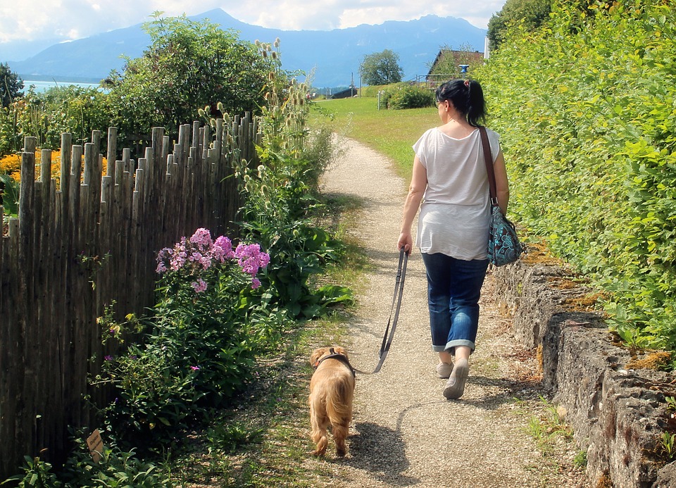 A women with black hair in a white tshirt and jeans is walking through a path with greenery on each side holding  lease with a small golden coated dog on the end of it.