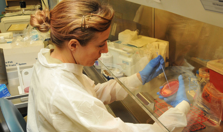 A women with blonde hair and a white lab coat is sitting at a lab bench plating bacteria on a red medium agar plate.